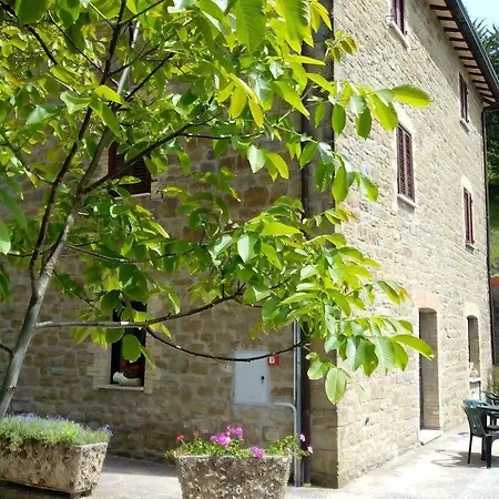 Il Noceto Assisi